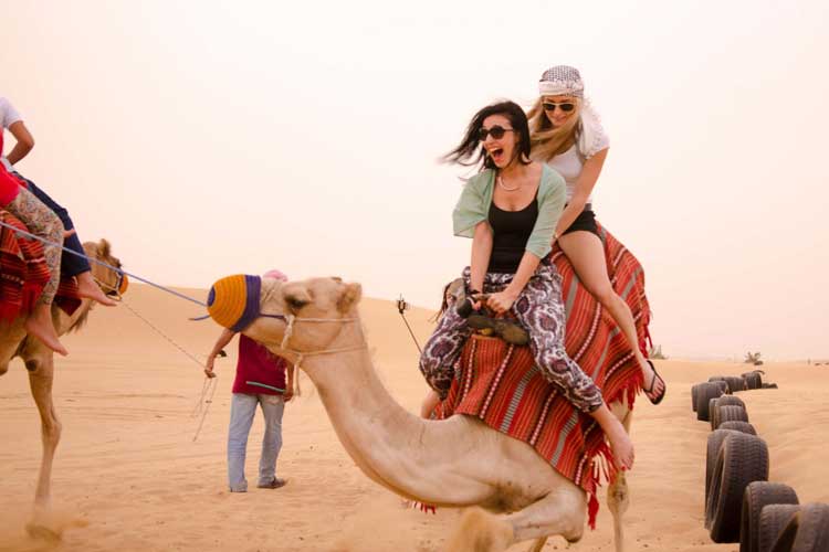 Desert Safari